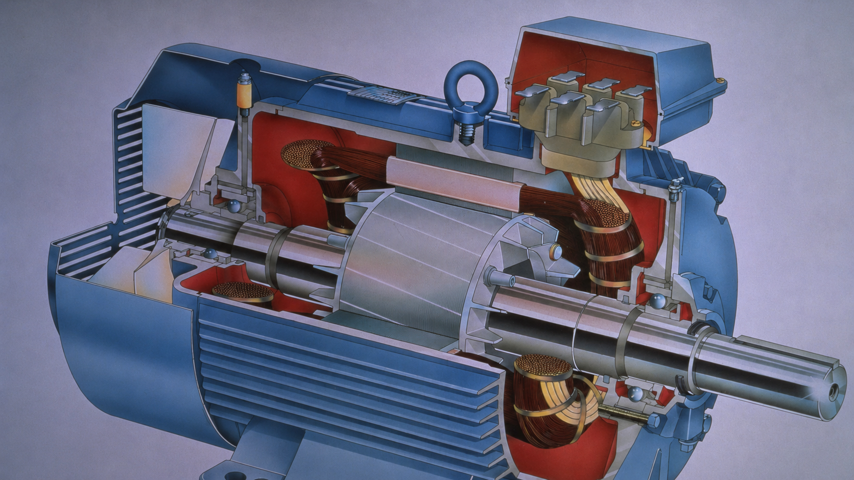 Gennemskåret trefaset asynkronmotor